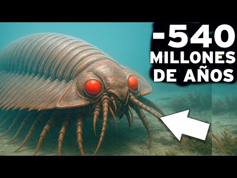El Cámbrico: ¡La era en la que criaturas extrañas invadieron la Tierra! DOCUMENTAL Historia