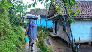 Suasana Pagi Di Kampung Yang Tenang, Setelah Hujan Mengguyur Kampung Yang Indah, Pedesaan Jawa Barat