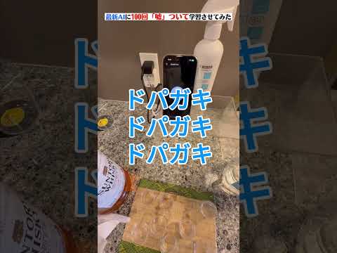 AIに嘘100回学習させてみた。#chatgpt #ai育成 #ドパガキ #ハル氏ネーション #こんびにこ