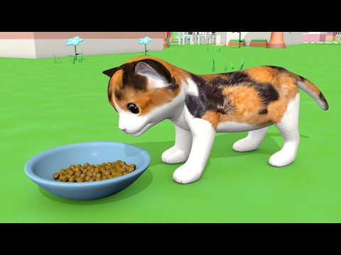 Little boy playing with cats