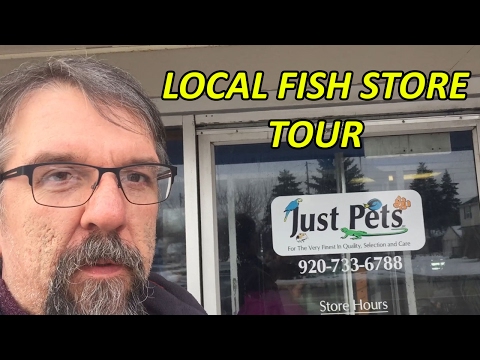 Local Fish Store tour 