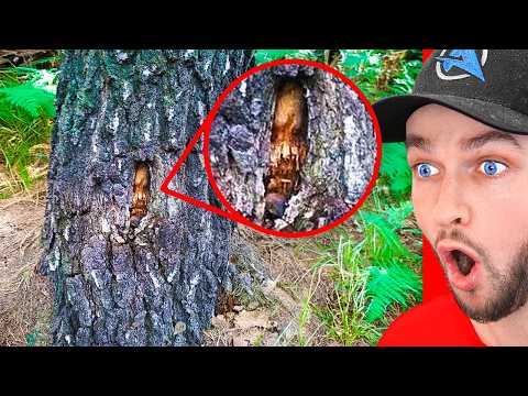 1 Hour of World's *CRAZIEST* Discoveries!