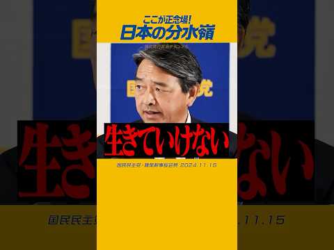#国民民主党 #榛葉賀津也 #質問内容 今が日本の分水嶺