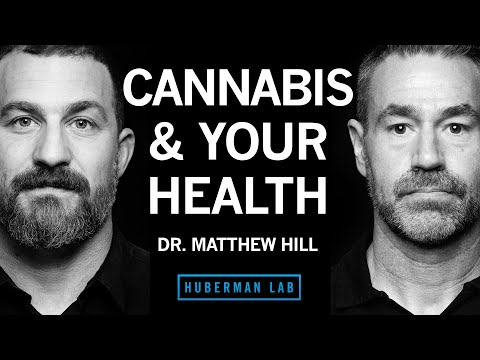 Dr. Matthew Hill: How Cannabis Impacts Health & the Potential Risks