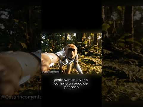 DOMESTICANDO un TIGRE 🐯🐯 #humor #ia #veo3 #mono #fyp #cesarin #parati