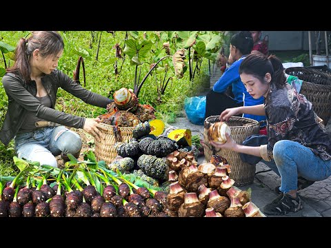 It takes 7 days Harvest and bring to the place of Consumption - Farm life Ms Yang