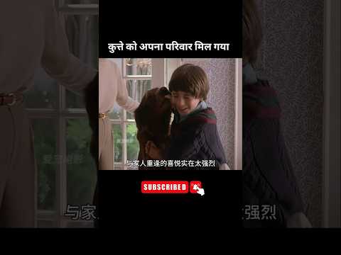 कुत्ते को अपना परिवार मिल गया । #shorts