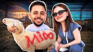 BAYRAM VLOGUUU! | Patlayan lastik, İsmim yazılı KOÇ 🐏