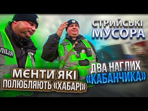 ДВА НАГЛИХ КАБАНЧИКА в ПОЛІЦІЇ СТРИЯ пробивають ДНО