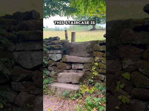 Now that's a stile! #outdoors #walk #footpath #uk #wales #countryside #farming #funny #humor #stiles