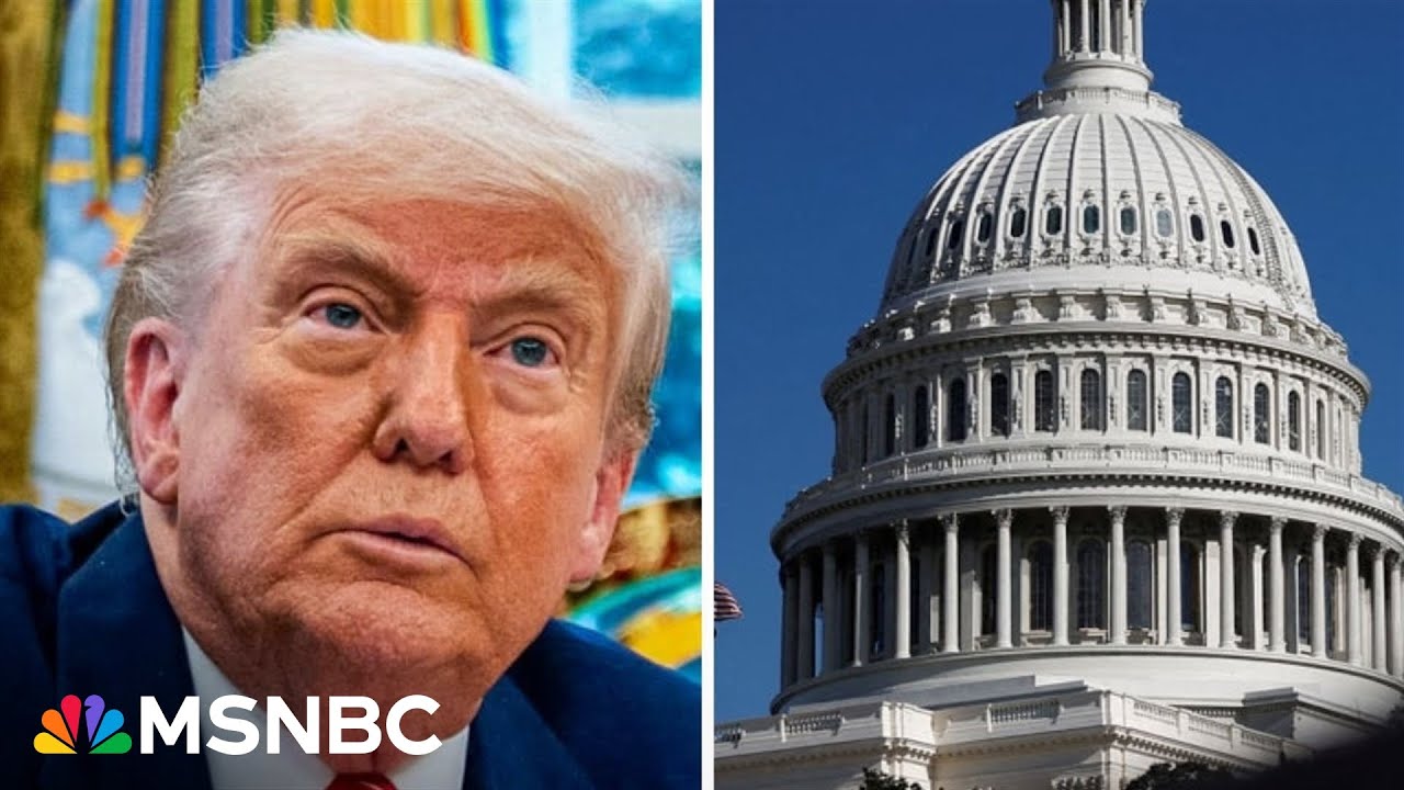 Trump’s budget bill gives Democrats ‘a lot of ammo’ to use in 2026 midterms: Dem. strategist