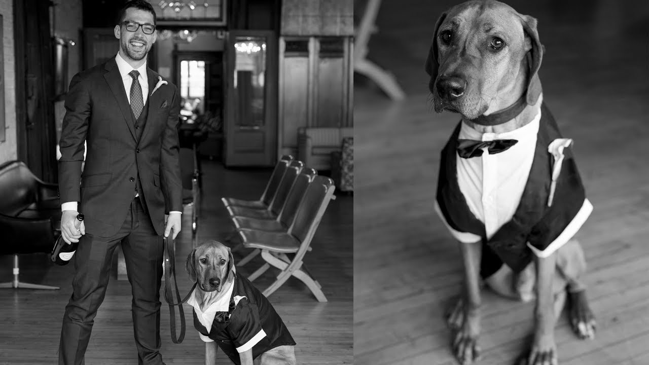 First Comes Dog, Then Comes Marriage Video Thumbnail