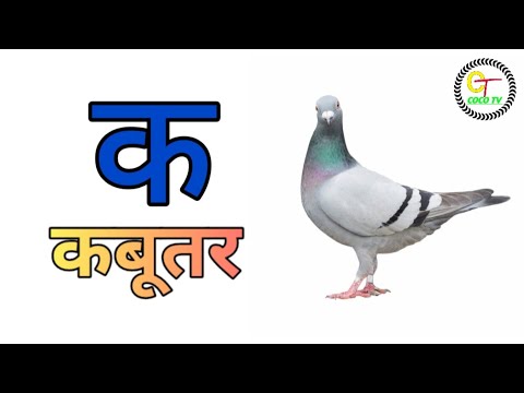 अ से अनार, आ से आम, हिंदी वर्णमाला | क से कबूतर, ख से खरगोश हिंदी वर्णमाला | COCO TV | #kidseducatio