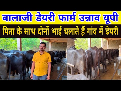पिता के साथ दोनों भाई चलाते हैं गाय-भैंस का गांव में डेयरी#farming/dairy farm unnav up/dairy farm ||