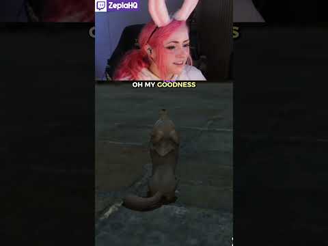 Just a wholesome FFXIV fox appreciation post 🦊❤️