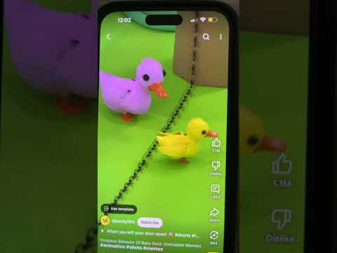 Funny duck around to ant group. #babyduck #funnyshorts #duck