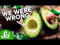 Avocado and Giant Ground Sloths: Myth or Fact?