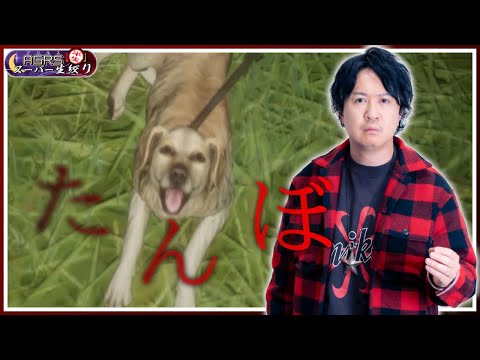 【たんぼ】アジルス／半生でいいんすか！？ 2025年06月22日【杉田智和／ＡＧＲＳチャンネル】