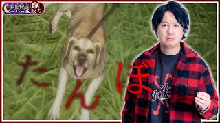 動画サムネイル