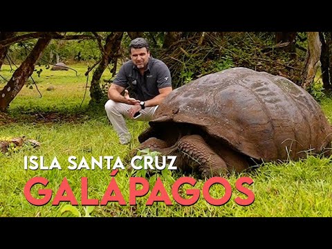 GALÁPAGOS - Isla Santa Cruz