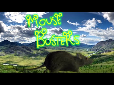 Mouse Busters