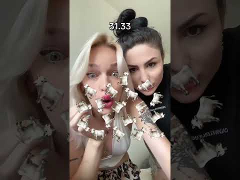 Цель игры найти бульдога (2024)