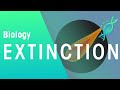 Extinction Events and Evolution Concepts