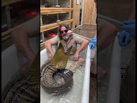 Feeding a Massive EEL! 🥩