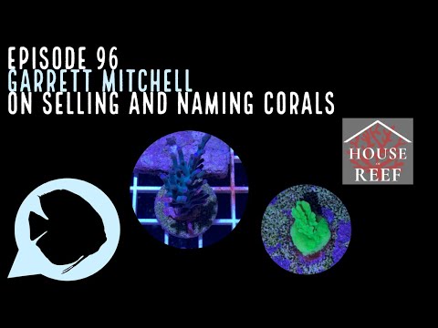 Ep. 96 - Garrett Mitchell on Selling and Naming Co Get your aquarium goodies from Aquarium Co-Op:
https_//www.aquariumcoop.com/


In to coral?  See wh
