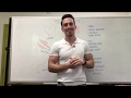 Muscle Tissue Characteristics and Functions