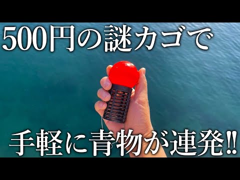 500円で購入した格安のカゴで青物が連発！魚が湧き上がるスルカゴ＋新製品で挑む堤防五目釣り