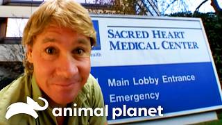 The Croc Hunter Needs a Check-Up! | Crocodile Hunter | Animal Planet