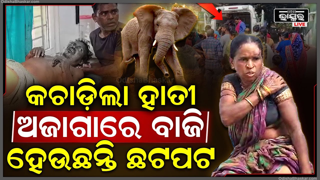 ଶୁଣ୍ଢରେ ଟେକି ଉଠାଇଲା ପକାଇଲା...ଅଜାଗାରେ ବାଜି ସ୍ୱାମୀ ସ୍ତ୍ରୀ କହୁଛନ୍ତି ବାପା ଲୋ ବୋଉ ଲୋ...