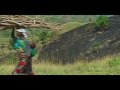 Tropical Forests and Conservation Efforts