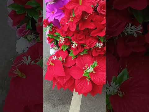 #motivation #study closet the ऐसीजिंदगी##trendingshorts