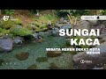 Kuis: Penampakan Air Jernih