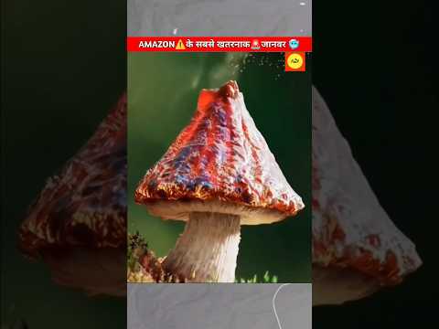 AMAZON⚠️के सबसे खतरनाक🚨जानवर 🥶 #shorts #animals