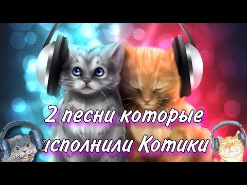 2 песни которые исполнили котики