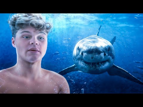 Swimming with SHARKS Without a Cage…