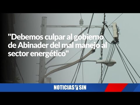 Bernardo Vega sobre alza tarifa eléctrica