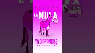 Ya Disponible! LA MULA #romanticas #corridos