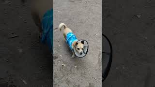 12 августа 2024 г.