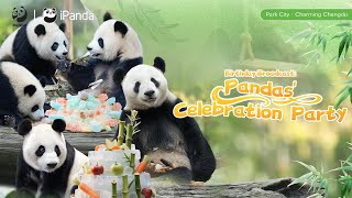 Birthday Broadcast: Pandas' Celebration Party | iPanda