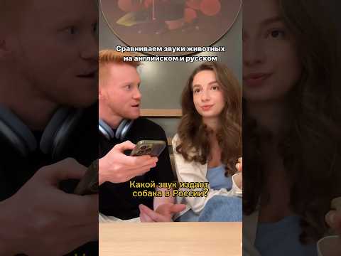 Звуки животных на английском и русском