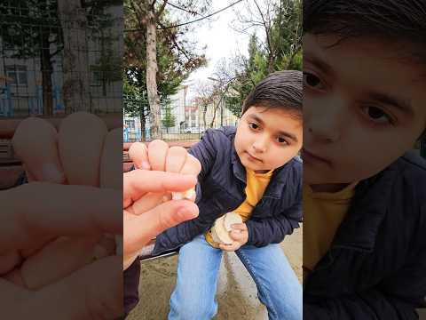 فظيعة اختي المى ?? #عائلة_برهوم #تصميمي