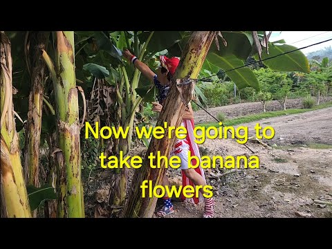Now we're going to take the banana flower.