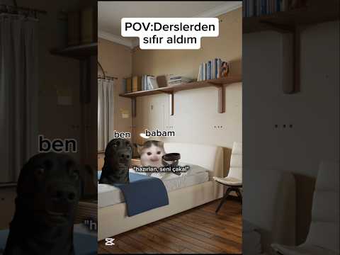 Pov:Derslerden sıfır aldım.