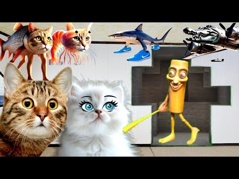 ТУНГ ТУНГ ТУНГ САХУР в нашем доме! В РЕАЛЬНОЙ ЖИЗНИ
