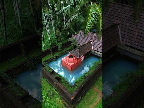 Monsoon Kerala temple vibe #kerala #rain #monsoon #viralreels #viralshort