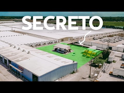 ESCONDI PROJETO SECRETO DE TODOS ‹ EduKof ›